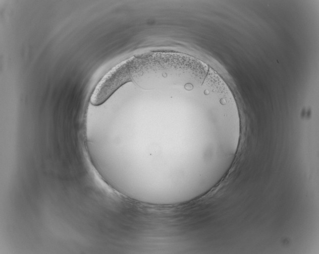 X0000111491536200908251014