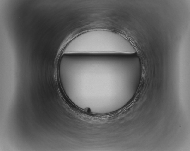 X0000111500004200907141053