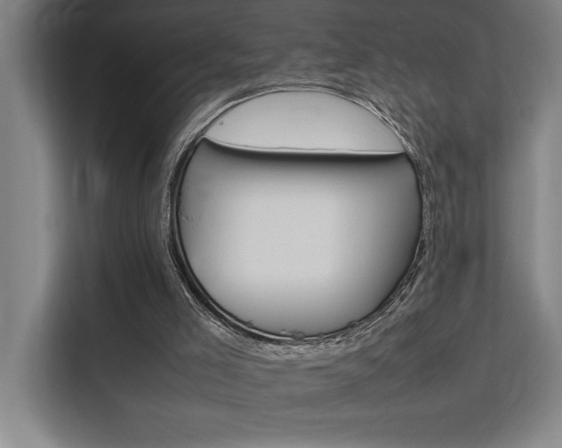 X0000111500005200907141053