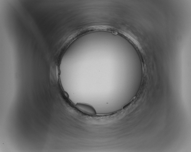 X0000111500013200907141053