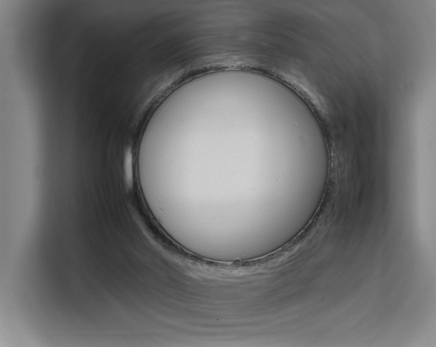 X0000111500014200907141053