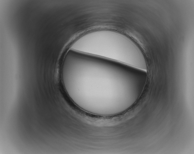 X0000111500016200907141053