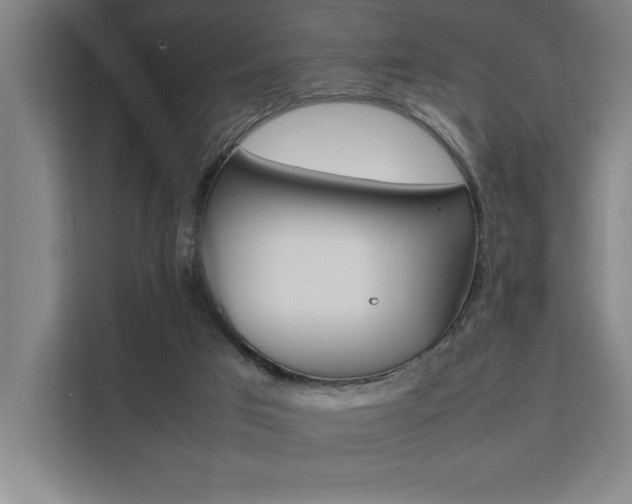 X0000111500017200907141053