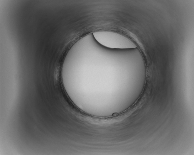 X0000111500018200907141053