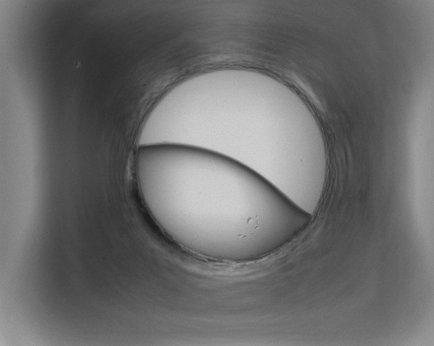 X0000111500023200907141053