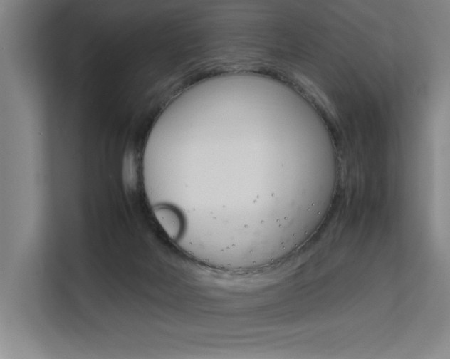 X0000111500026200907141053