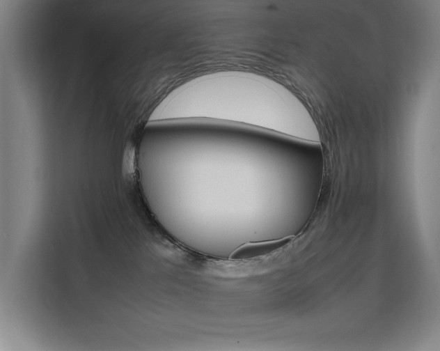 X0000111500041200907141052