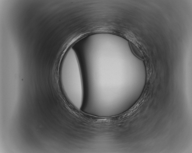 X0000111500050200907141052