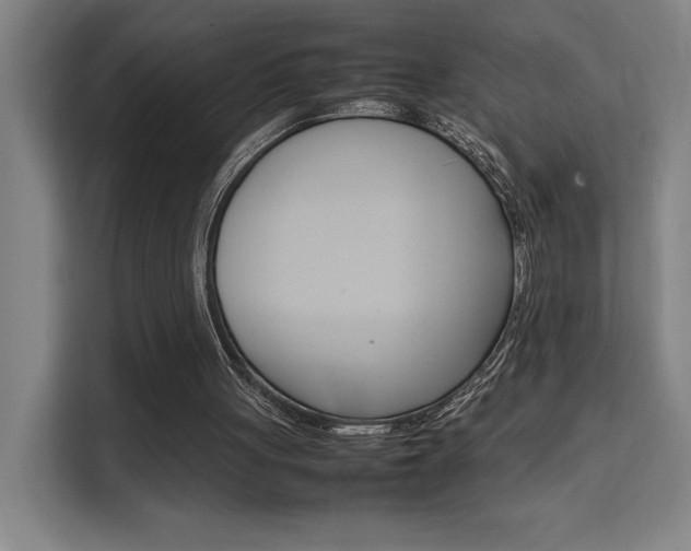X0000111500051200907141052