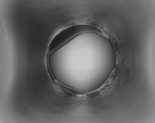 X0000111500052200907141052