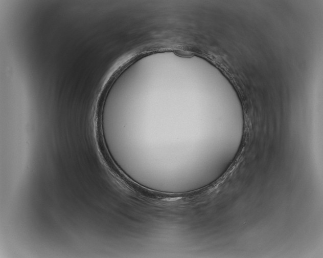 X0000111500054200907141052