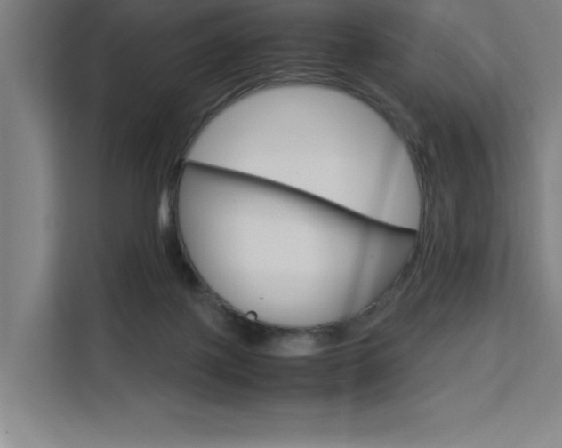 X0000111500075200907141052