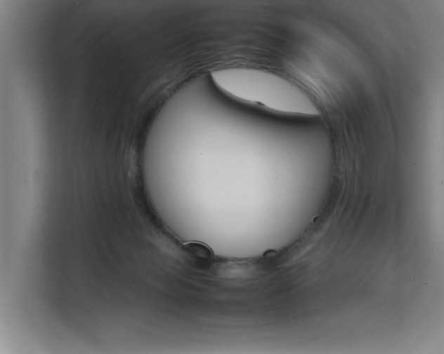X0000111500077200907141052