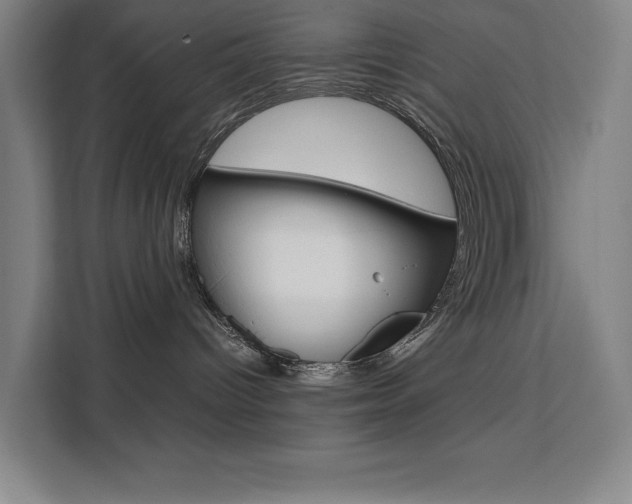 X0000111500096200907141052