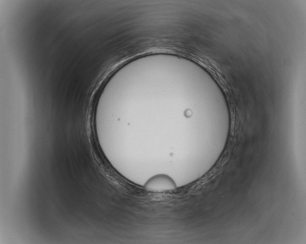 X0000111500098200907141051