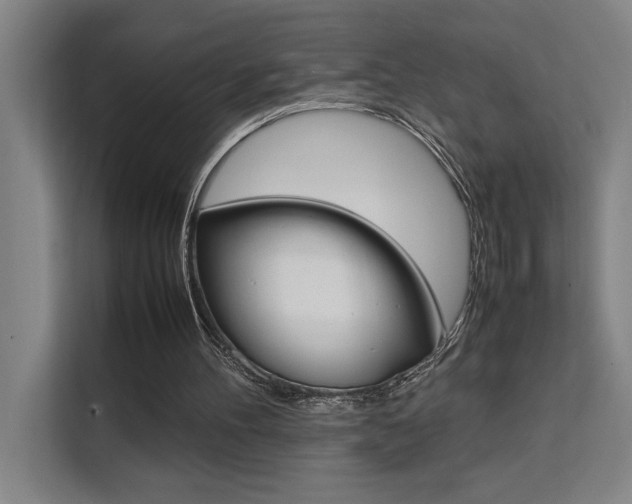 X0000111500100200907141051
