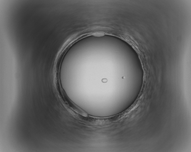 X0000111500101200907141051