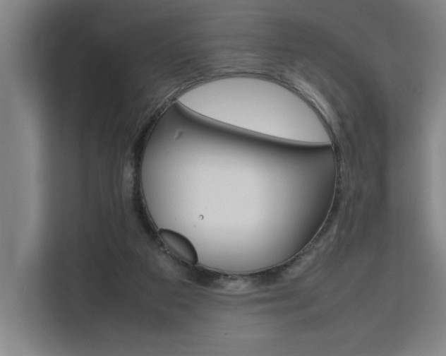 X0000111500113200907141051