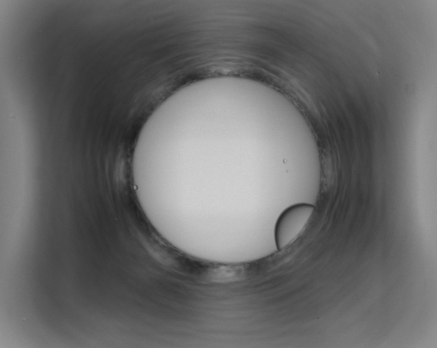 X0000111500126200907141051