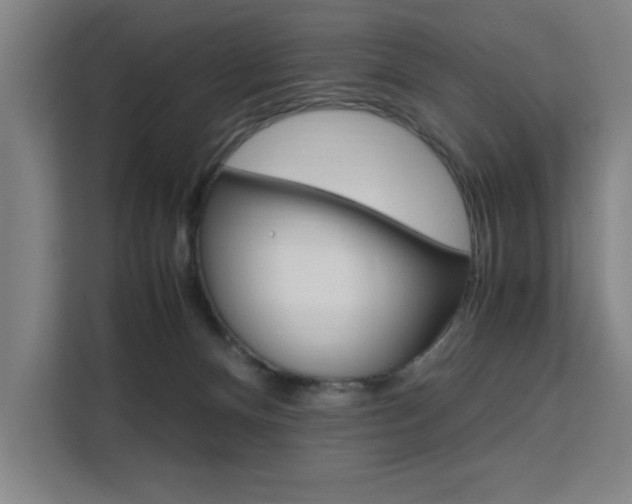 X0000111500128200907141051