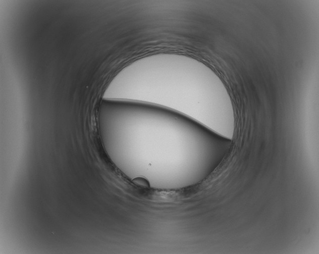 X0000111500137200907141051
