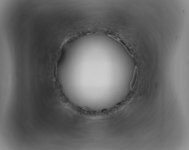 X0000111500144200907141051