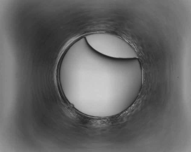 X0000111500147200907141050