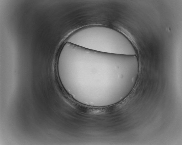X0000111500155200907141050