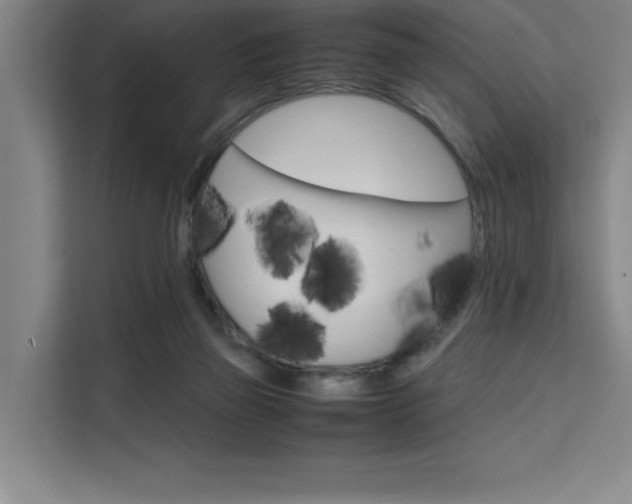 X0000111500165200907141050
