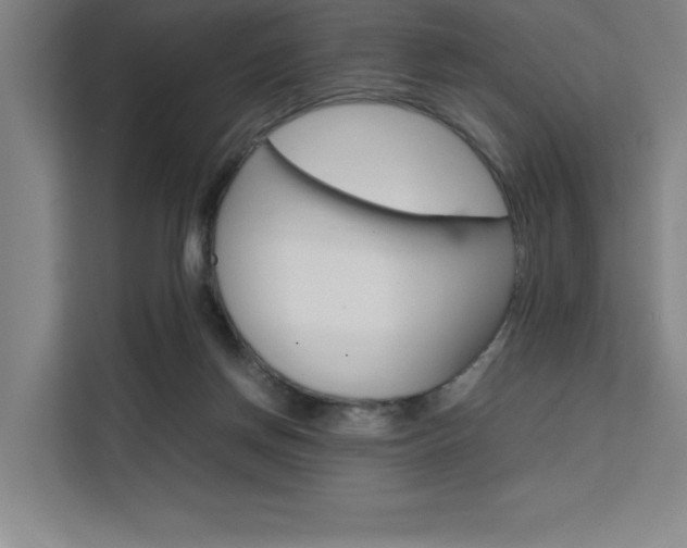 X0000111500166200907141050