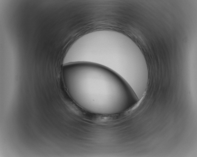 X0000111500174200907141051