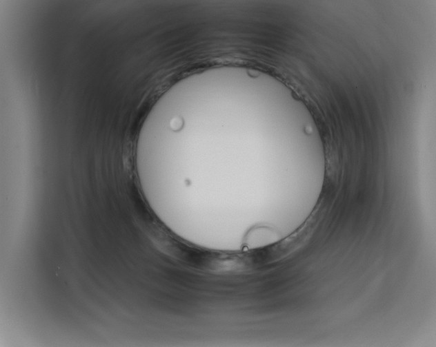 X0000111500175200907141051