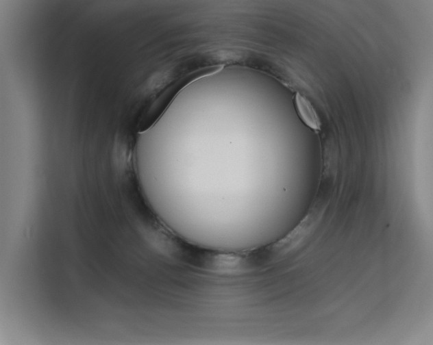 X0000111500176200907141051