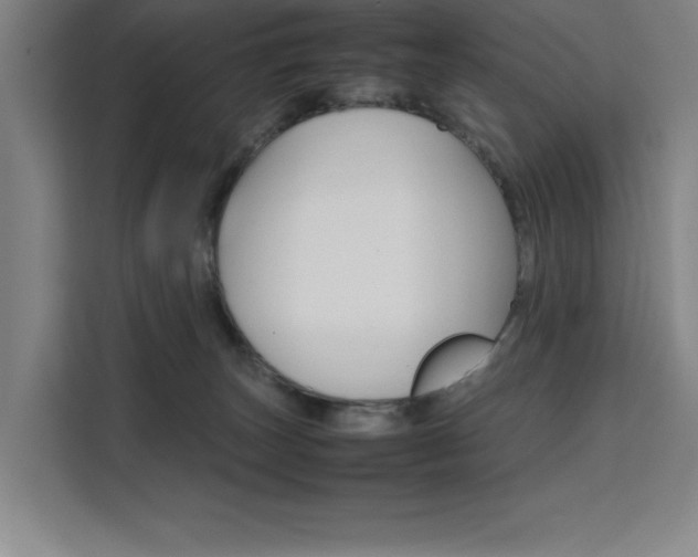 X0000111500179200907141051