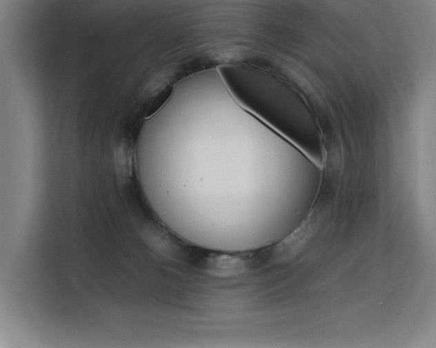 X0000111500180200907141051