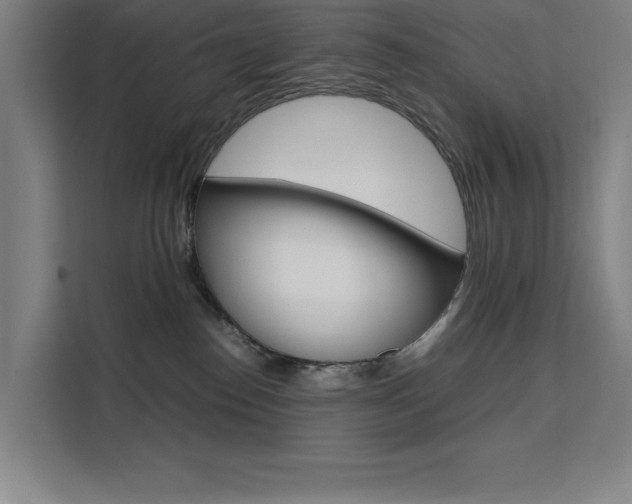 X0000111500186200907141051