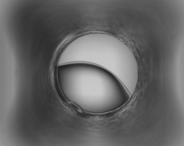 X0000111500197200907141050