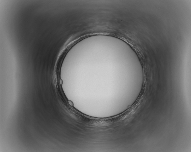 X0000111500198200907141050