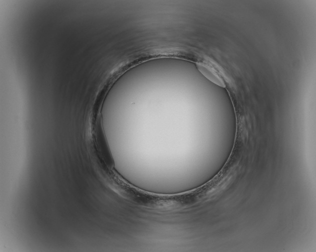 X0000111500203200907141050