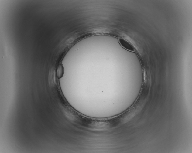 X0000111500205200907141050