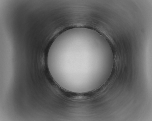 X0000111500212200907141050