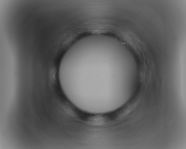 X0000111500219200907141050