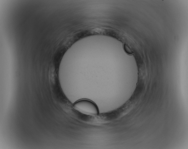 X0000111500223200907141050