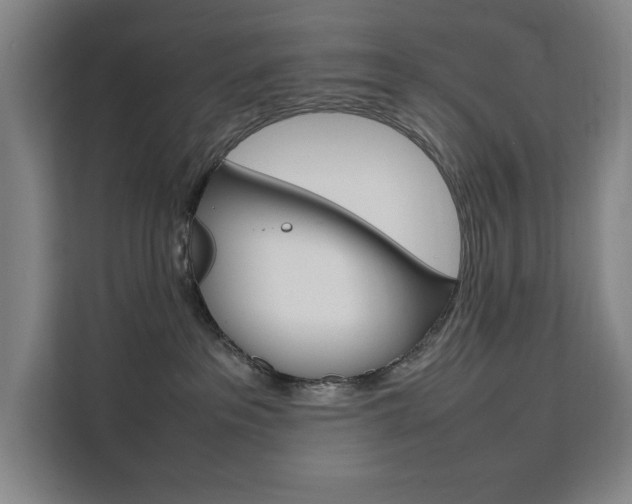 X0000111500237200907141050