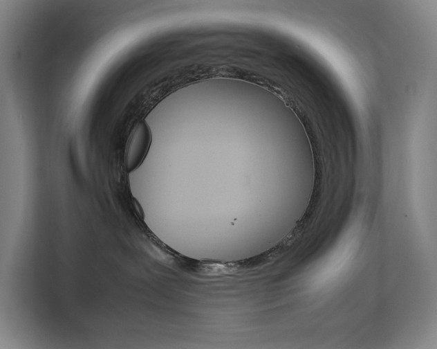X0000111500239200907141050
