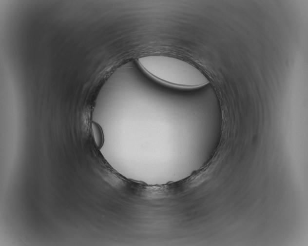 X0000111500240200907141050