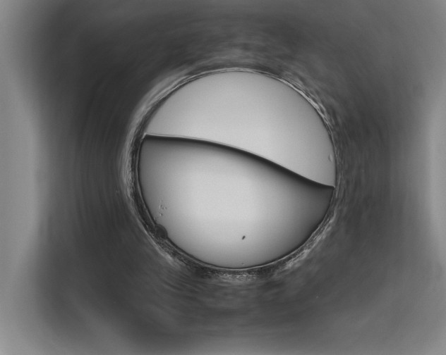 X0000111500245200907141049