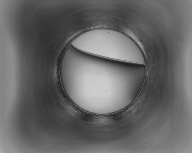 X0000111500249200907141049