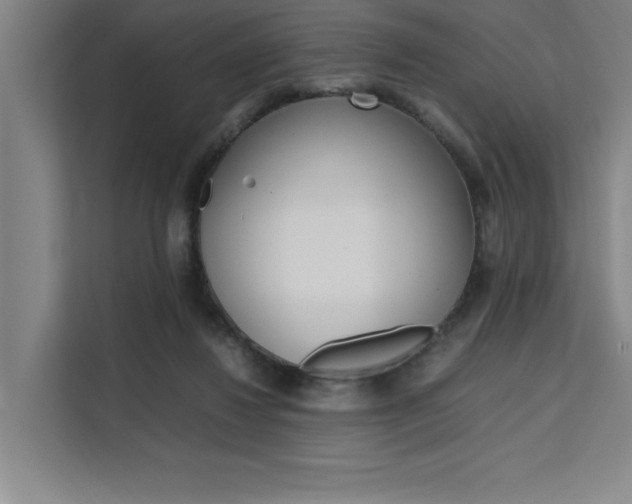 X0000111500260200907141049