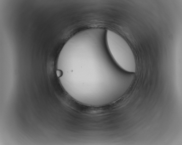 X0000111500263200907141049